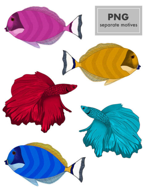 Pattern animali tropical fish Eva Lo Coco separate motivies